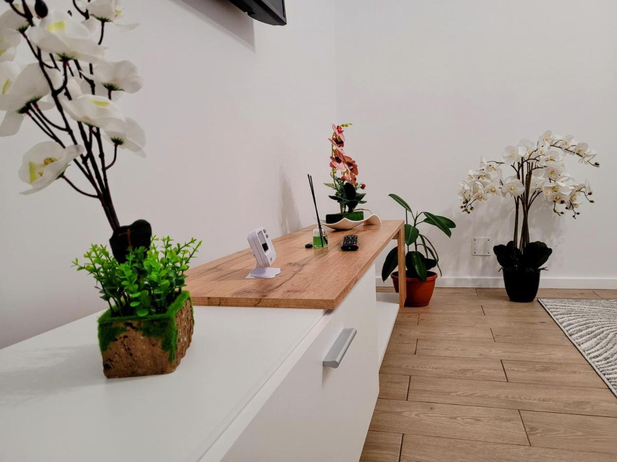 Casa Feli Lägenhet Braşov Exteriör bild